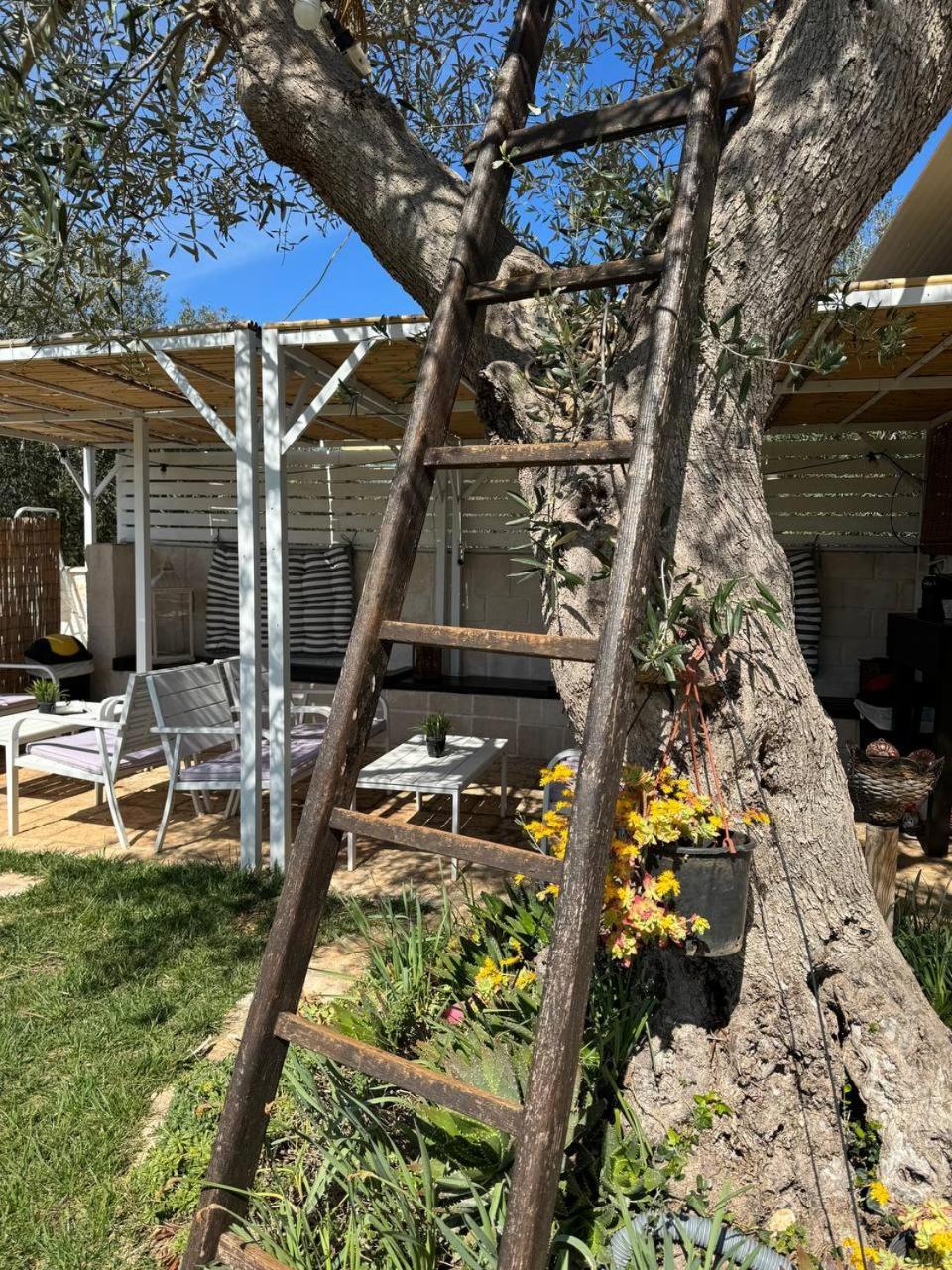Dimora Ducabianco Bed & Breakfast Monopoli Bagian luar foto